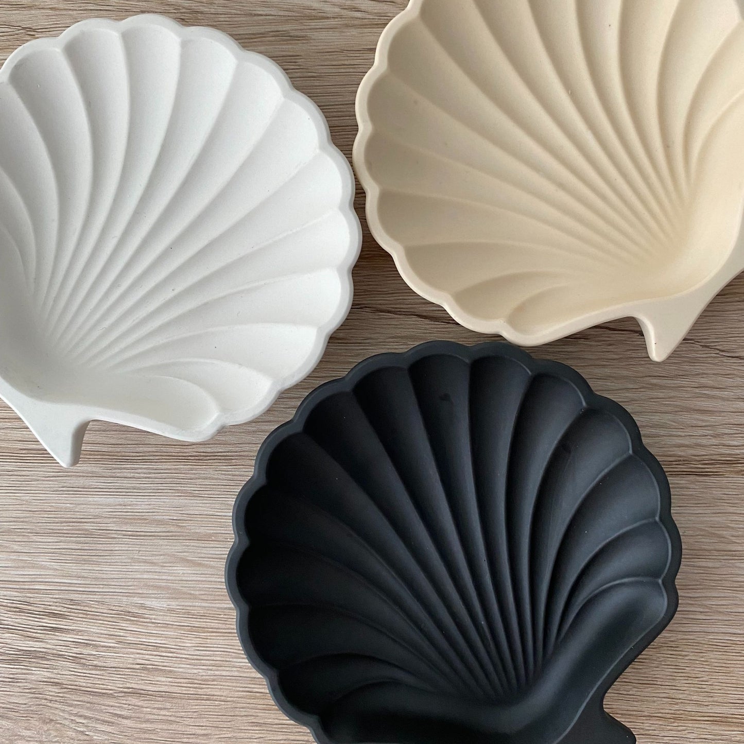 Schelp - diverse kleuren