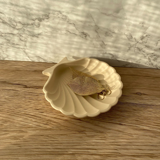 Schelp - diverse kleuren